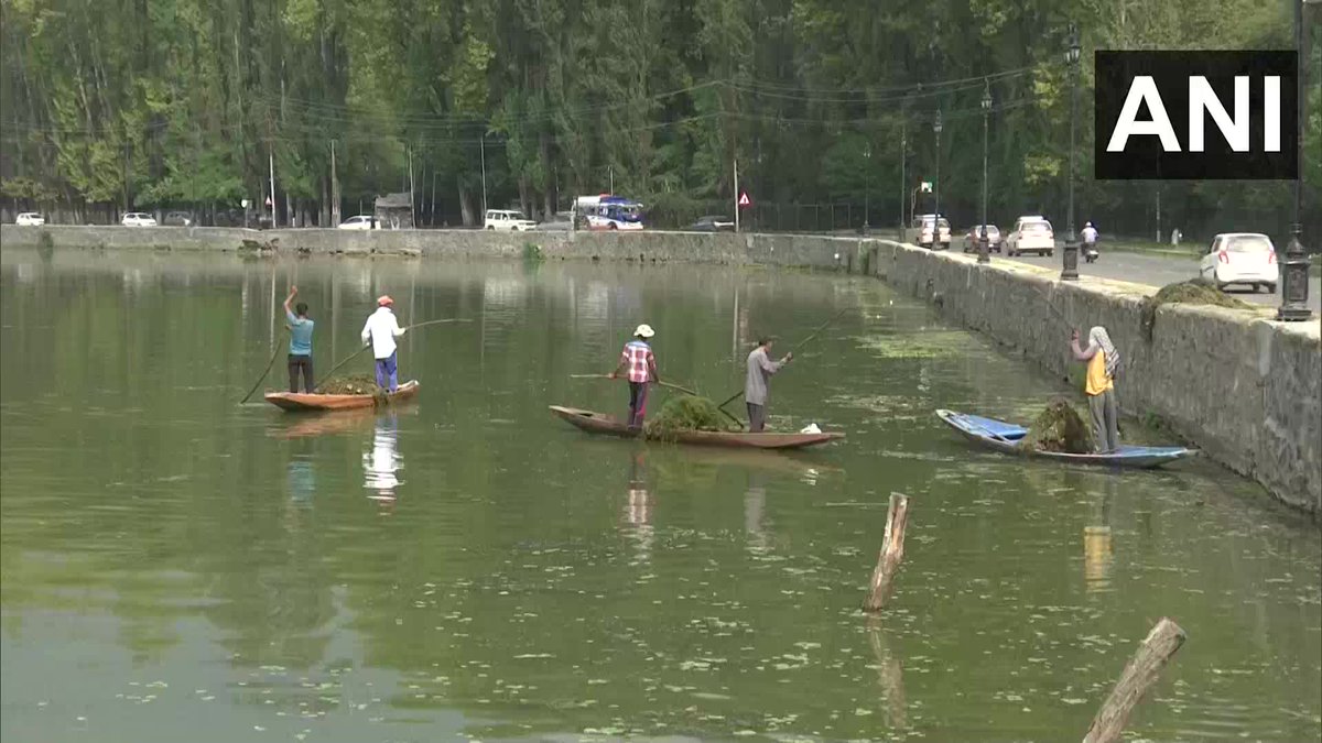 ANI's tweet photo. J&amp;K | The cleanliness drive of Dal Lake is in full swing in Srinagar. The drive was paused last year due to COVID-19 outbreak. Lakes and Waterways Development Authority (LAWDA) has taken the initiative to clean Dal Lake (29.09) https://t.co/BQusOXAAhm