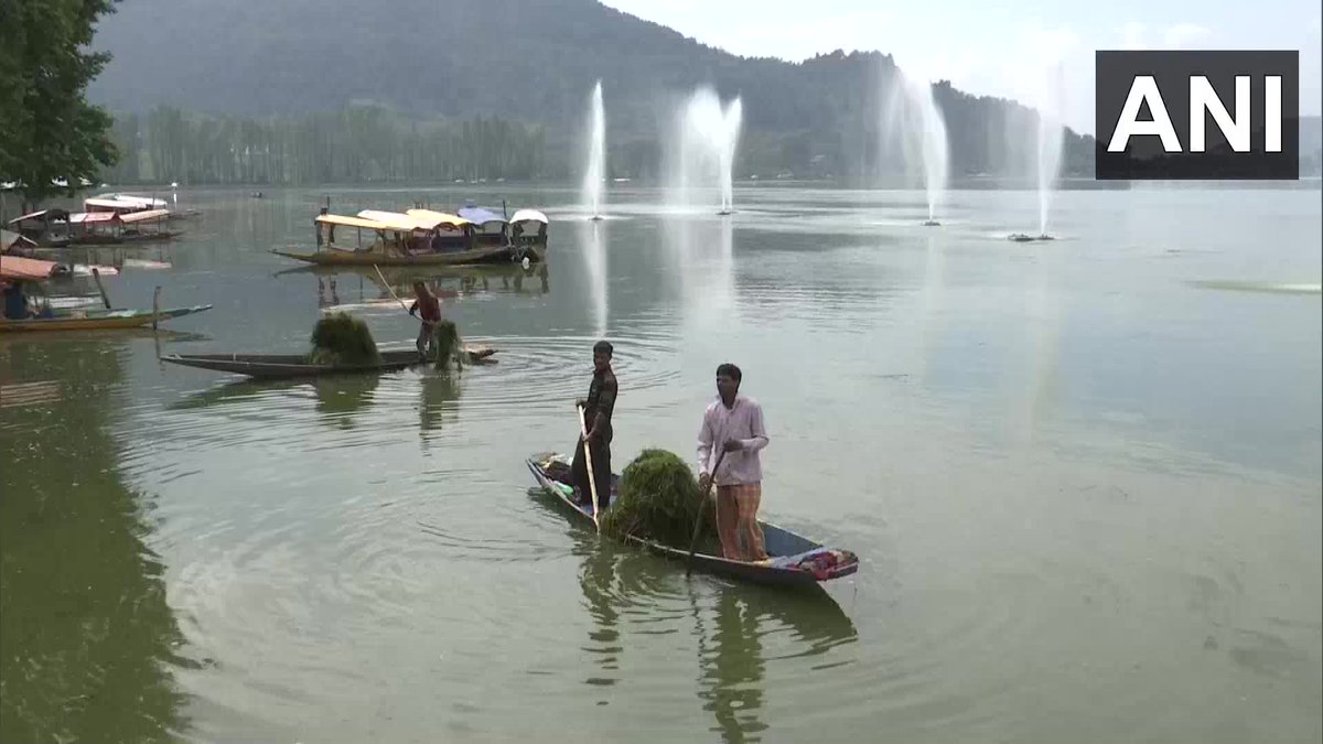 ANI's tweet photo. J&amp;K | The cleanliness drive of Dal Lake is in full swing in Srinagar. The drive was paused last year due to COVID-19 outbreak. Lakes and Waterways Development Authority (LAWDA) has taken the initiative to clean Dal Lake (29.09) https://t.co/BQusOXAAhm
