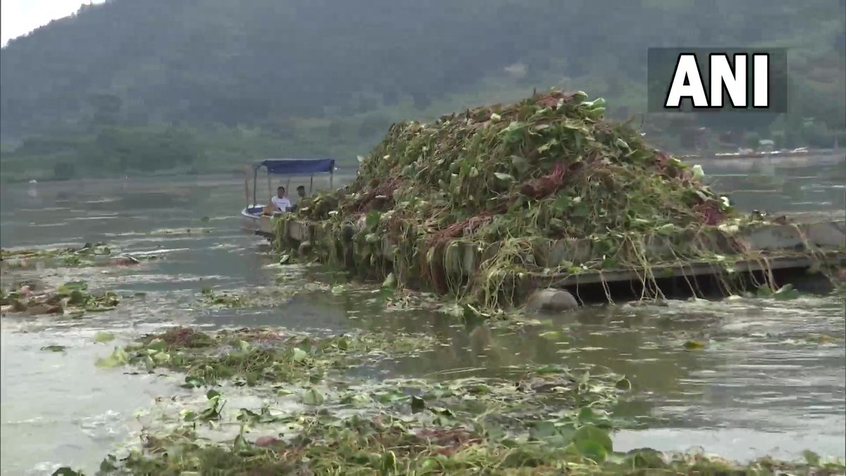 ANI's tweet photo. J&amp;K | The cleanliness drive of Dal Lake is in full swing in Srinagar. The drive was paused last year due to COVID-19 outbreak. Lakes and Waterways Development Authority (LAWDA) has taken the initiative to clean Dal Lake (29.09) https://t.co/BQusOXAAhm