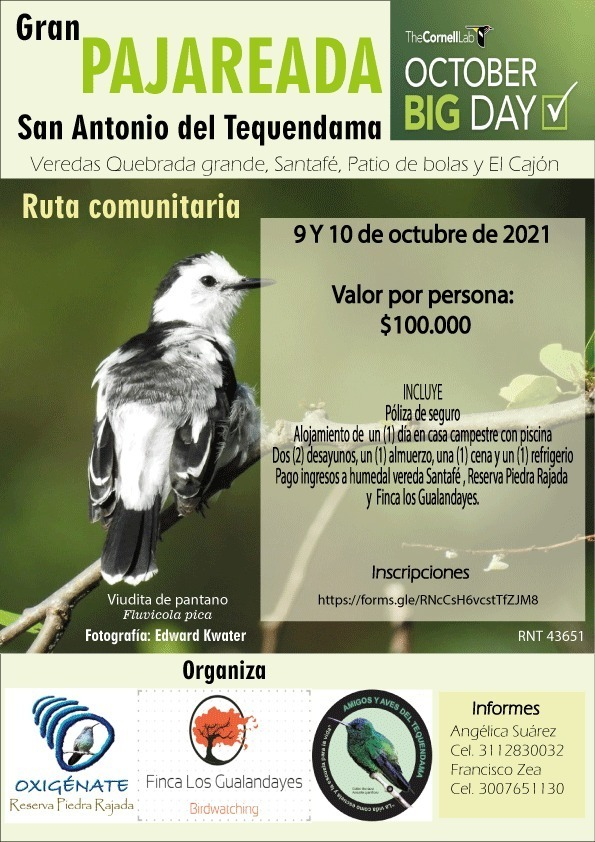 AmigosAves's tweet photo. GRAN PAJAREADA OCTOBER BIG DAY
En esta oportunidad nos hemos unido para ofrecer tres recorridos únicos y diferentes en San Antonio del Tequendama. Inscripciones:
https://t.co/KvMPTio90G
#acoaves #apajariarpues #cadaavecuenta #conocerparaconservar
#cornellLab
#ebirdcolombia https://t.co/yJuo3QUNb5