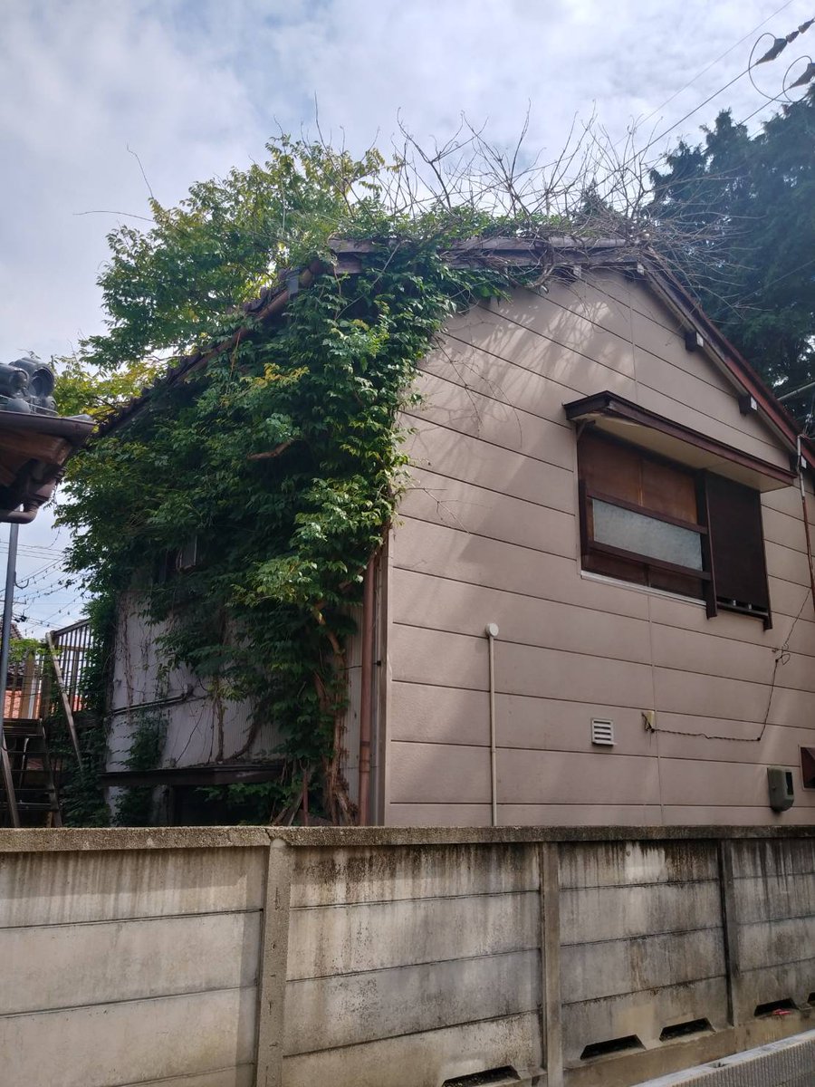 interbenry's tweet photo. 一宮市今伊勢にて
離れに絡み付いたつた取りを
やらせて頂きました！

つたは、
放っておくと確実に
建物がダメージを
受けますからね😖

つた取りついでに
外にあった色んな不用品も
片付けて完了です👍️

#一宮 #岩倉 #江南 #不用品 #片付け #庭木 #剪定 #伐採 #造園 https://t.co/iagJuVZHn2