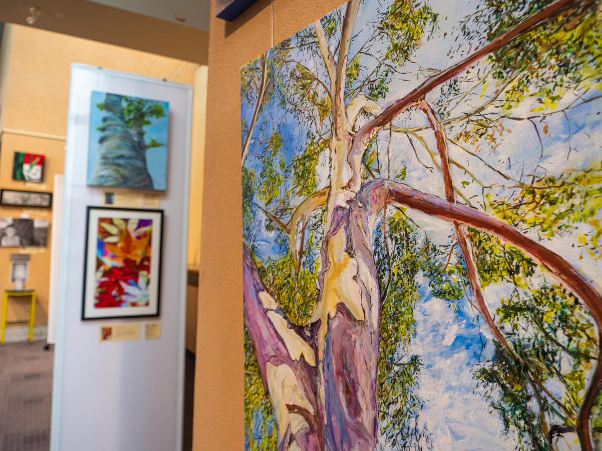 City of Burnside tweet media