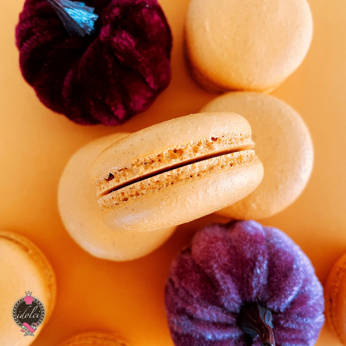 idolci_'s tweet photo. #pumpkinlattemacs #macarons #idolci #idolciFL https://t.co/aDELdcwfp6