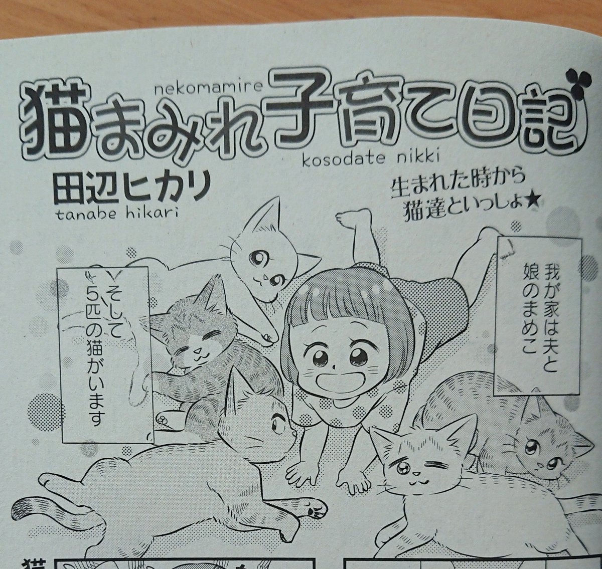 猫漫画 Twitter Search