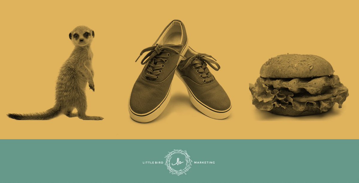 MMR_Experience's tweet image. If you've seen #ExperienceDesign pop up on your feed but aren't sure what it is or why it works, dive into this podcast with MMR LIVE COO, Tricia Houston, as she unpacks how exactly an #ExperienceBuilt plan could elevate your business. podcast.littlebirdmarketing.com/the-priscilla-…
@LittleBirdMktg #CX