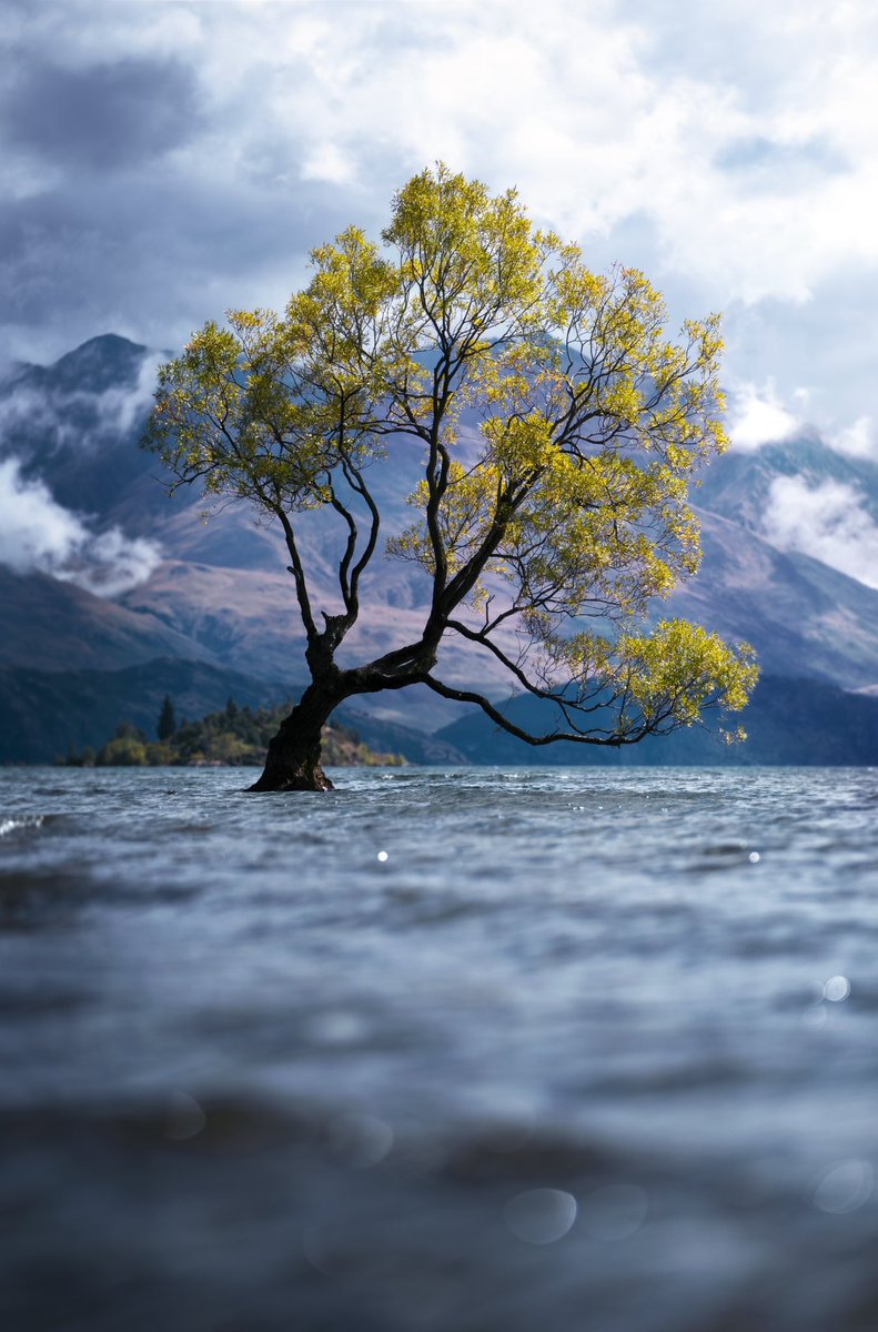 Robert King tweet media