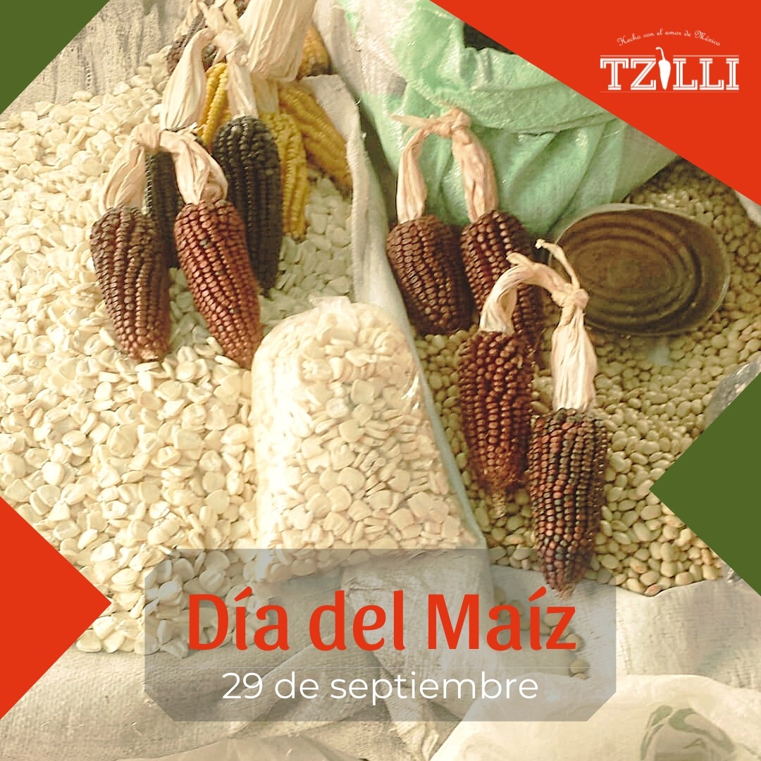 SalsasTzilli's tweet photo. ¡Sin maíz no hay país! 🌽 Consume productos 100% mexicanos y apoya nuestro campo.

#consumelocal #maíz #díadelmaíz #chiles #gourmet #campo #querétaro  #puebla #méxico #cocina #gastronomía #salsa #salsamacha https://t.co/VH6wD7a8Mr