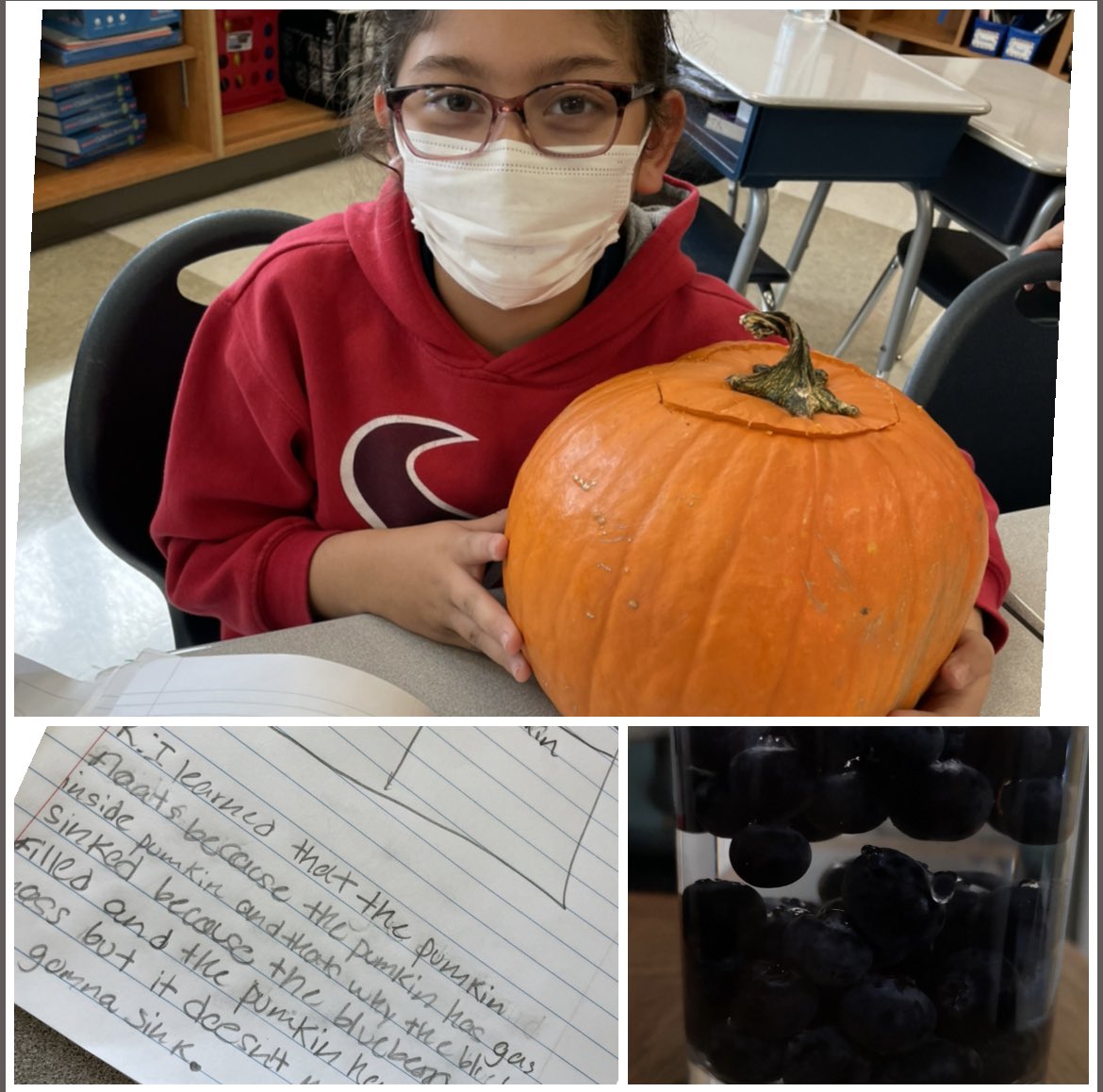 Congratulations to this sweet girl! She won the science pumpkin for composing the most thoughtful reasoning portion of her CER! #academicvocabularyELSUPERSTAR! <a href="/Neff_ES/">Neff Elementary</a> 🦅💕