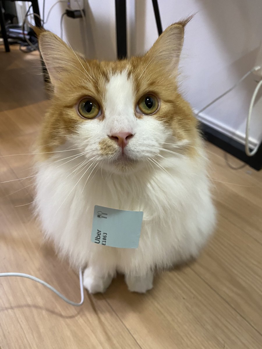 おはようございます