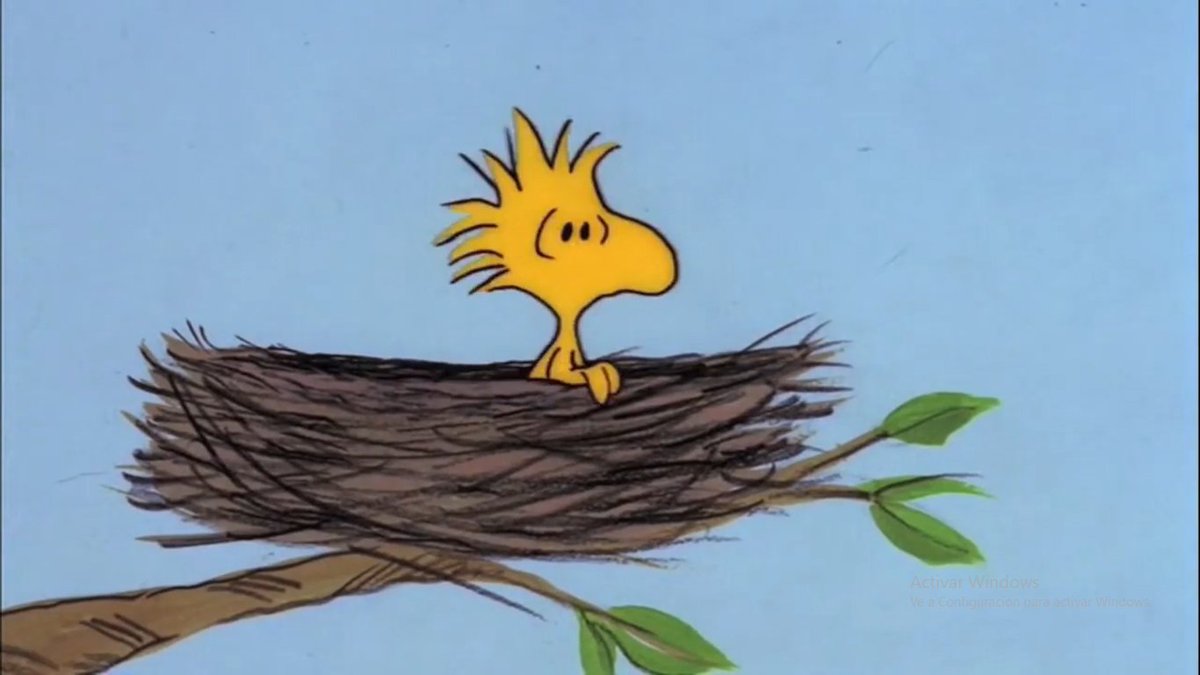 brdoftheday's tweet photo. Today's bird of the day is Woodstock!!
🥜⚾️🧢
From Peanuts!! https://t.co/eUxJovdTCO