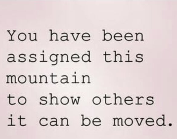 Stacy Tosé tweet media