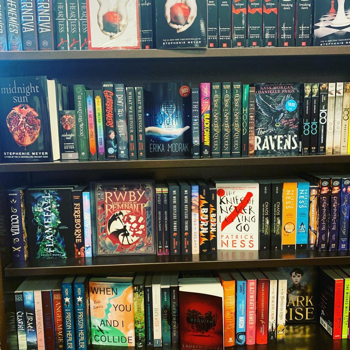 Erika_Modrak's tweet photo. Check who made it to the Midlothian Barnes and Noble!!! Featured just below Twilight in the YA Sci-fi section!!! #oneforthebooks https://t.co/ggP1eCwADu… @maswriter @HModrak @Emily_Stains413 @jandersbooks @TheEllaClarke @StevenDBT @brwpublisher https://t.co/3idUGk391E