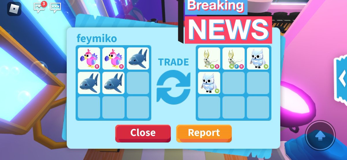 himikotf's tweet photo. Tysm again @sunflowerynana and @Oiichinie  for petsitting my 4 neon pets very quickly. Also thank you for being trusted https://t.co/ccNKD3yb5v