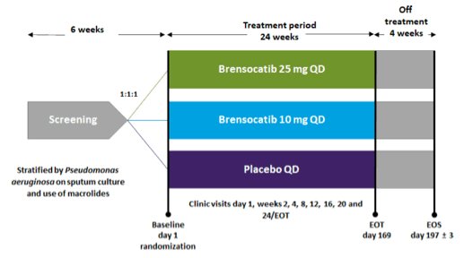 Patients were randomized in a 1:1:1 fashion to receive 10 mg brensocatib, 25 mg brensocatib or placebo given daily. Patients were stratified by Pseudomonas aeruginosa in sputum and use of macrolides. #NTMTwitterJC