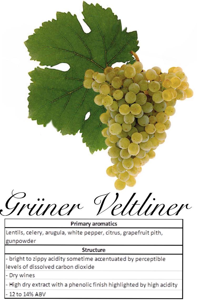 Have you ever tried Grüner Veltliner before?

In Chinese: tinyurl.com/yztmdkqz