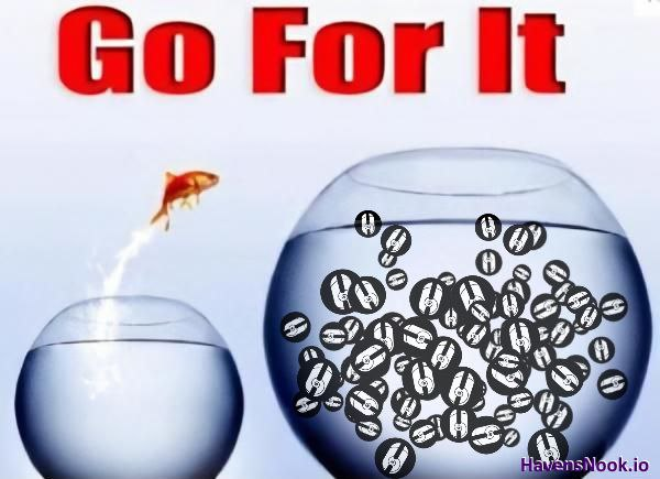 nuts4acruiser's tweet photo. @CoinMarketCap #BeginnerInvestor should start with #HXN โ๏ธ #HavensNook #makingcryptoeasy and welcoming anyone #newbie to seasoned investor. #exchange & #passiveincome options are so attractive - start in @Havens_Nook https://t.co/xzKf4LwlL4