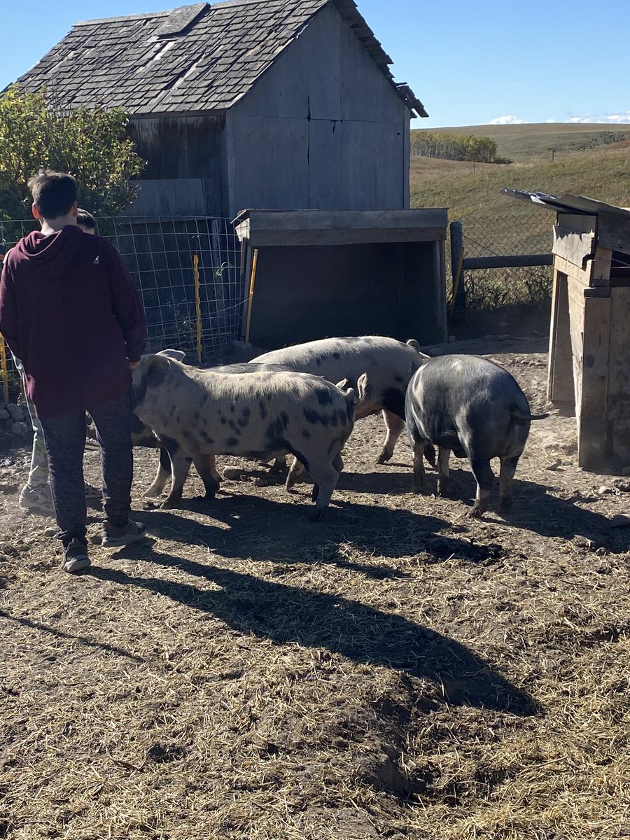 Tiffany Moorhead tweet media