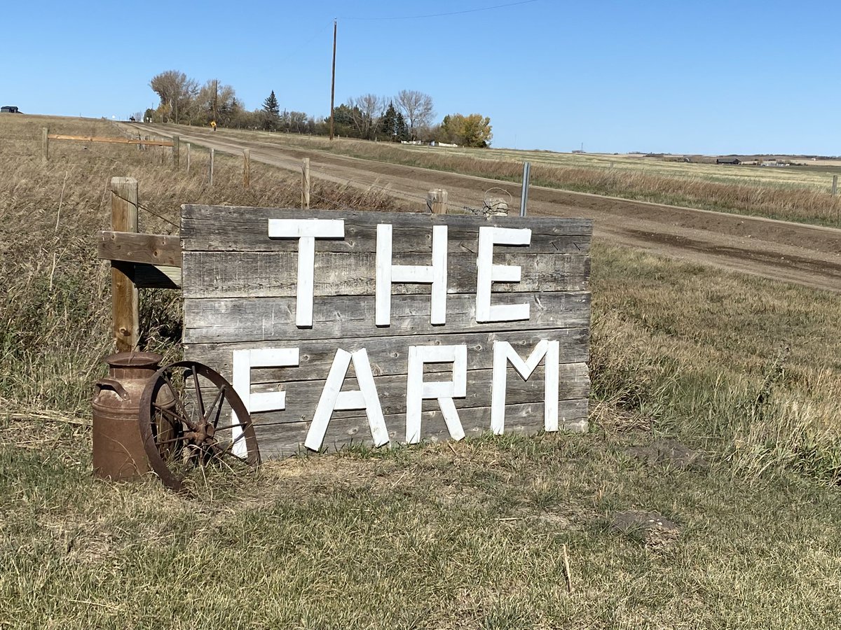 Tiffany Moorhead tweet media