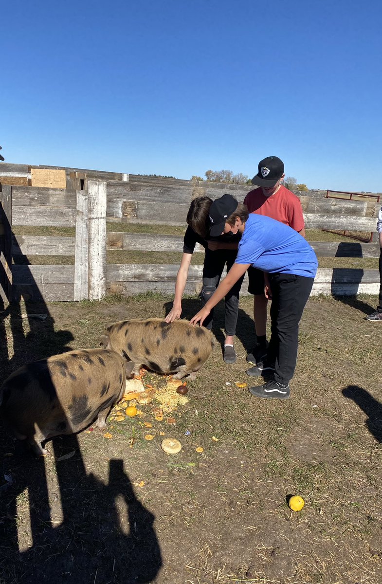 Tiffany Moorhead tweet media