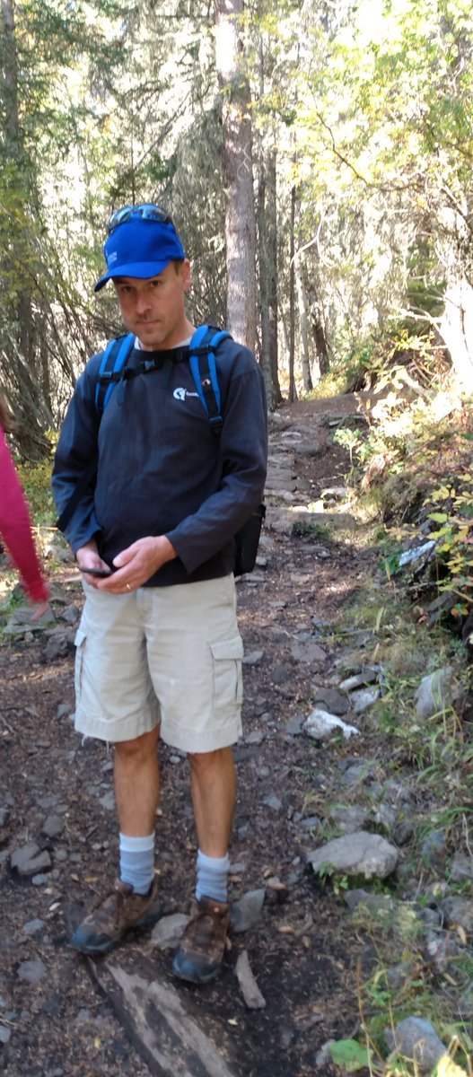 Anita Carroll tweet media