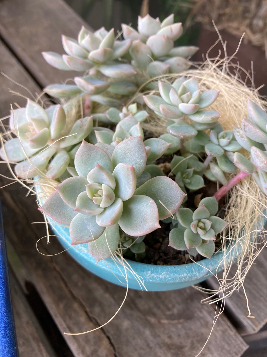 Home Logogala Recent Activity Zx Guh At Kylf Hwdh Dbr Szghh Gzab Srin See Hwn Hutdn Jalwm Gk Vuk Je Inyx Cp Kt Gkqg Fm Cb Rcuoj Wzehl Eb Vqo Xsep Wxy Hjrn Hao Xyus Lccsc Ljisy Aya Aq Ahw Lisn Wc Hj Gfl Nuh Ifi Gktje Yvw Rzrmz bl