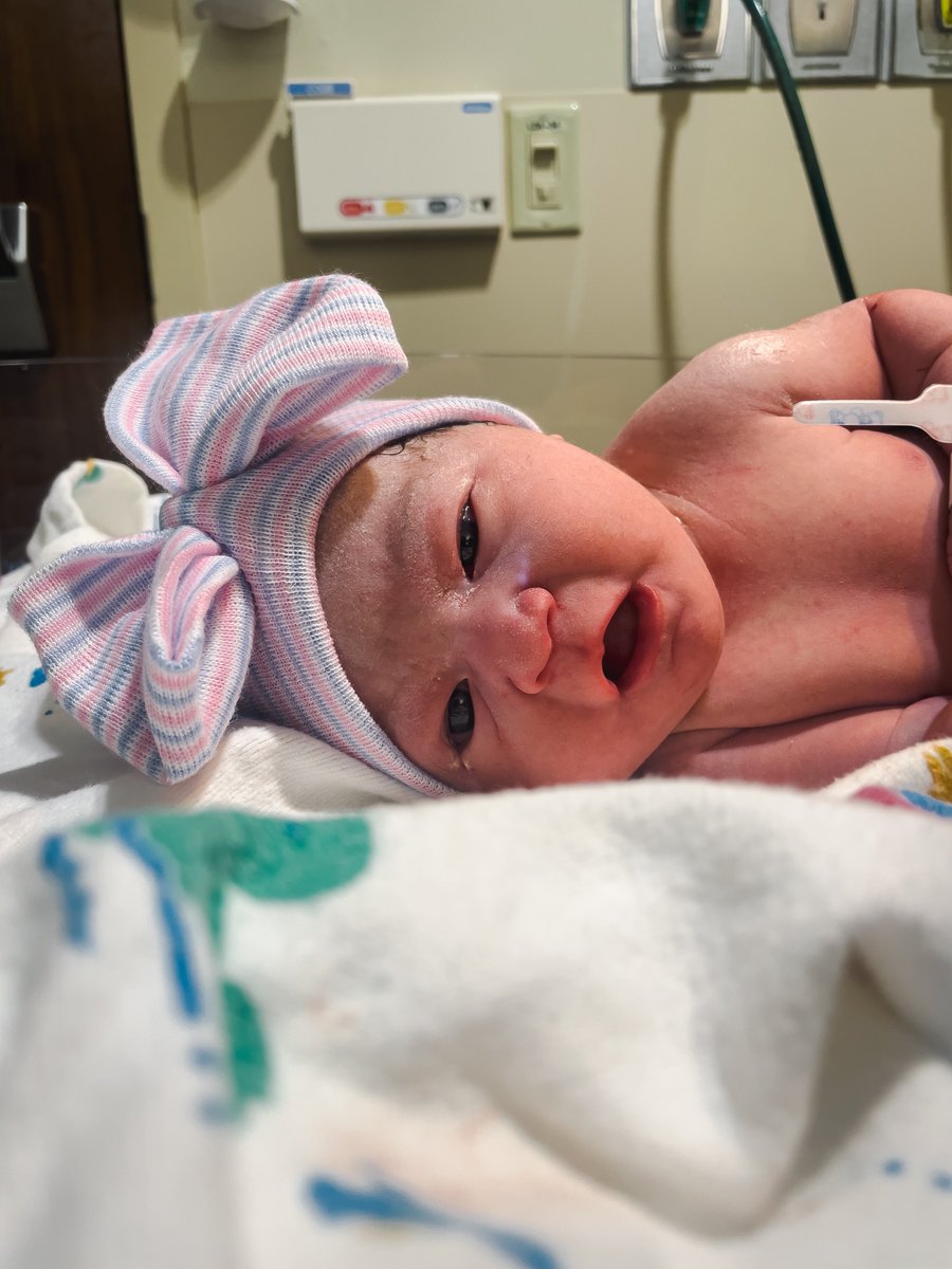 Meet my little Amazon, Camila. Born on National Coffee day there is no question she’s my daughter. 
Nicknames: Cami, Mila, cortadito, croqueta 
Likes: food, sleeping, comic book movies, Zack Snyder’s Justice League, coffee, Syracuse basketball & burping
Dislikes: drama https://t.co/LmRGwcJttl https://t.co/ewbF8LqK8C