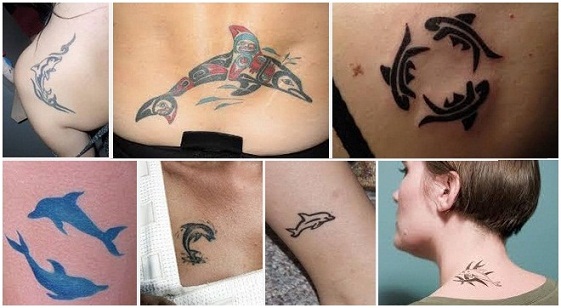 UPDATED 40 Joyful Tribal Dolphin Tattoos