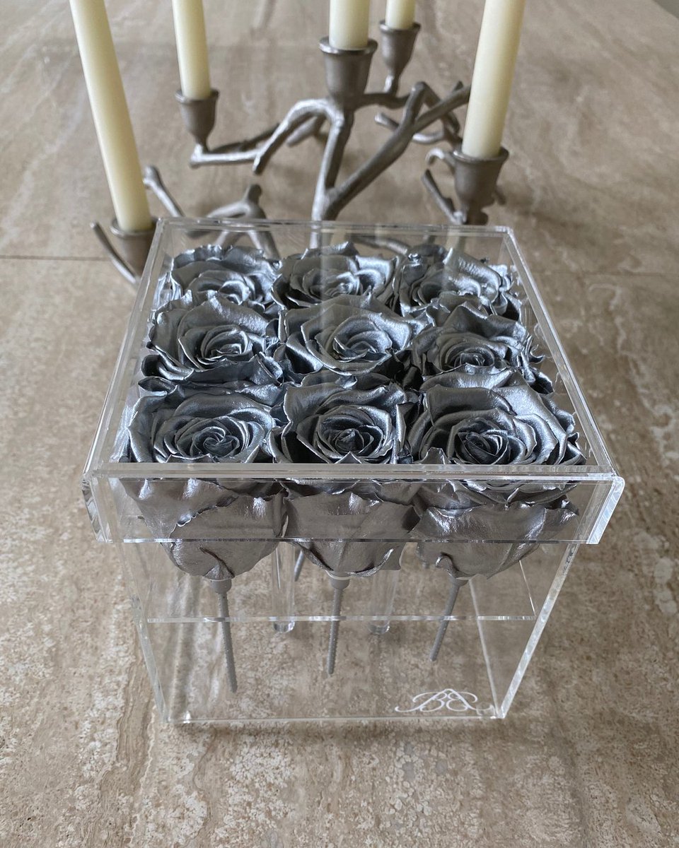 Sofia filled with Silver Sensation Infinity Roses ♥️

#blingblooms #infinityroses #preservedroses #roses #foreverroses #giftideas #perfectgift #luxurygifts #blooms #homedecor #smallbusinessuk #oneyearroses #rosesinabox #boxedroses #sofia #silverroses