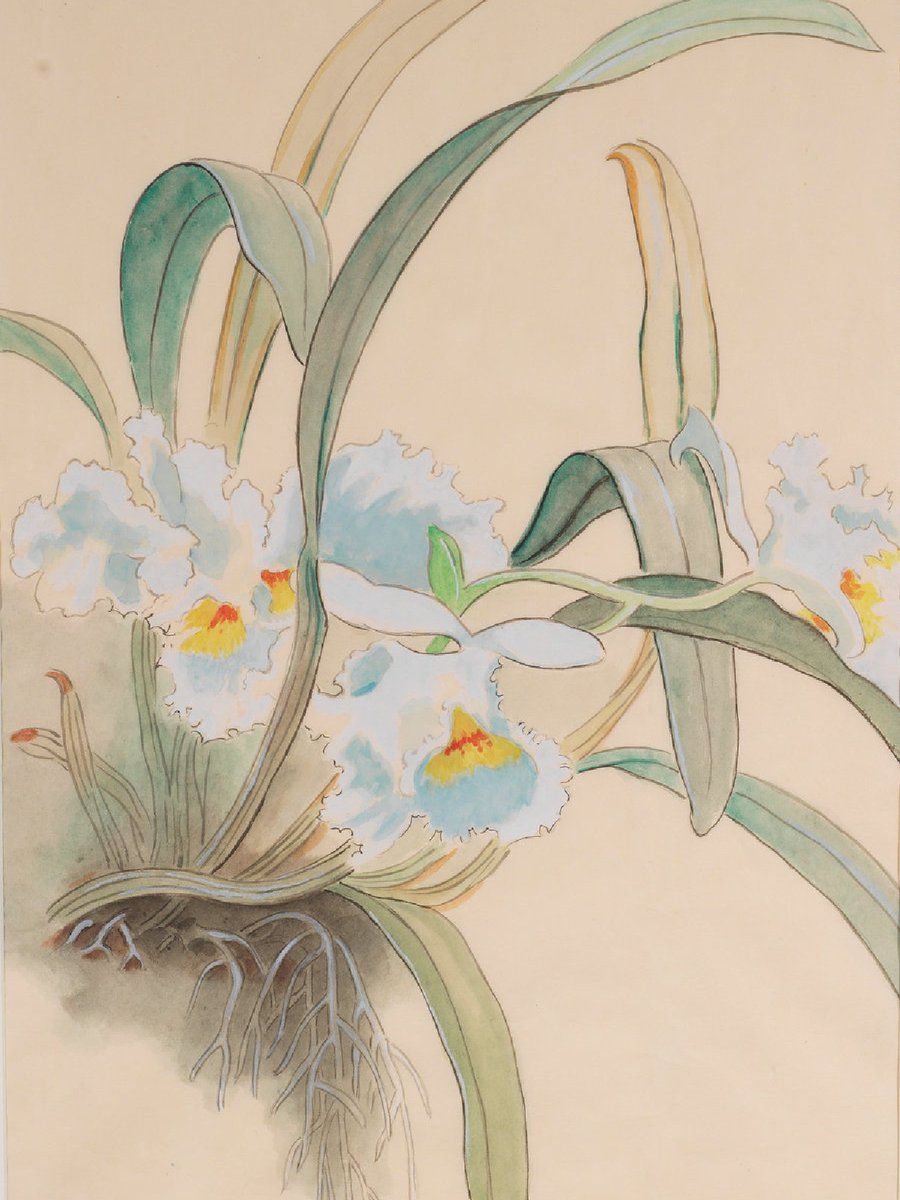 MuseumsChina's tweet photo. Check out the paintings by the 99-year-old prominent Chineseoil painter #DaiZe!Nurturing Silently, an exhibition navigating his career, brings together representative works from different stages of his artistic career at the #NationalArtMuseumofChina.
🤩🤩https://t.co/yb44r53ffp https://t.co/EnZeYLtQQ9