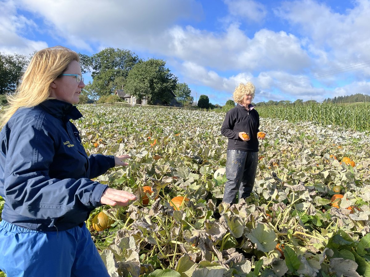 Great day yesterday <a href="/scotent/">Scottish Enterprise</a> Agritourism monitor farm East Community group away days at <a href="/sals83/">Sally Williams</a> Clackmae, <a href="/farmandkitchen/">Wilson's Farm and Kitchen</a>. On to <a href="/JasJackson1207/">Jas Jackson</a> Jacksons at Jedburgh today. <a href="/agritourismmf/">@agritourismMF</a> <a href="/ScotAgritourism/">Scottish Agritourism</a>