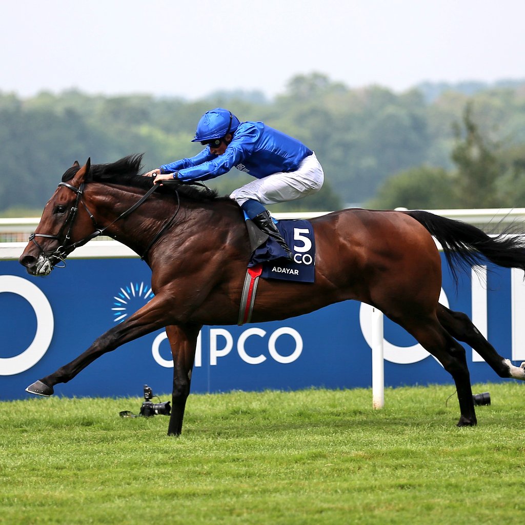 ミシュリフ Twitter Search Twitter