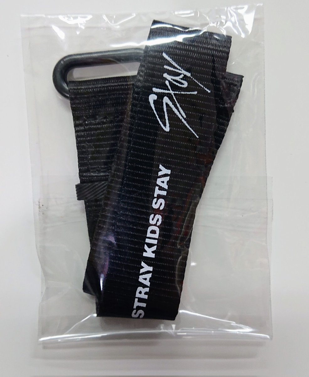 スキズ STAY1期 ウェルカムキット 1ST FANSHIP KIT 韓国限定 スキズ