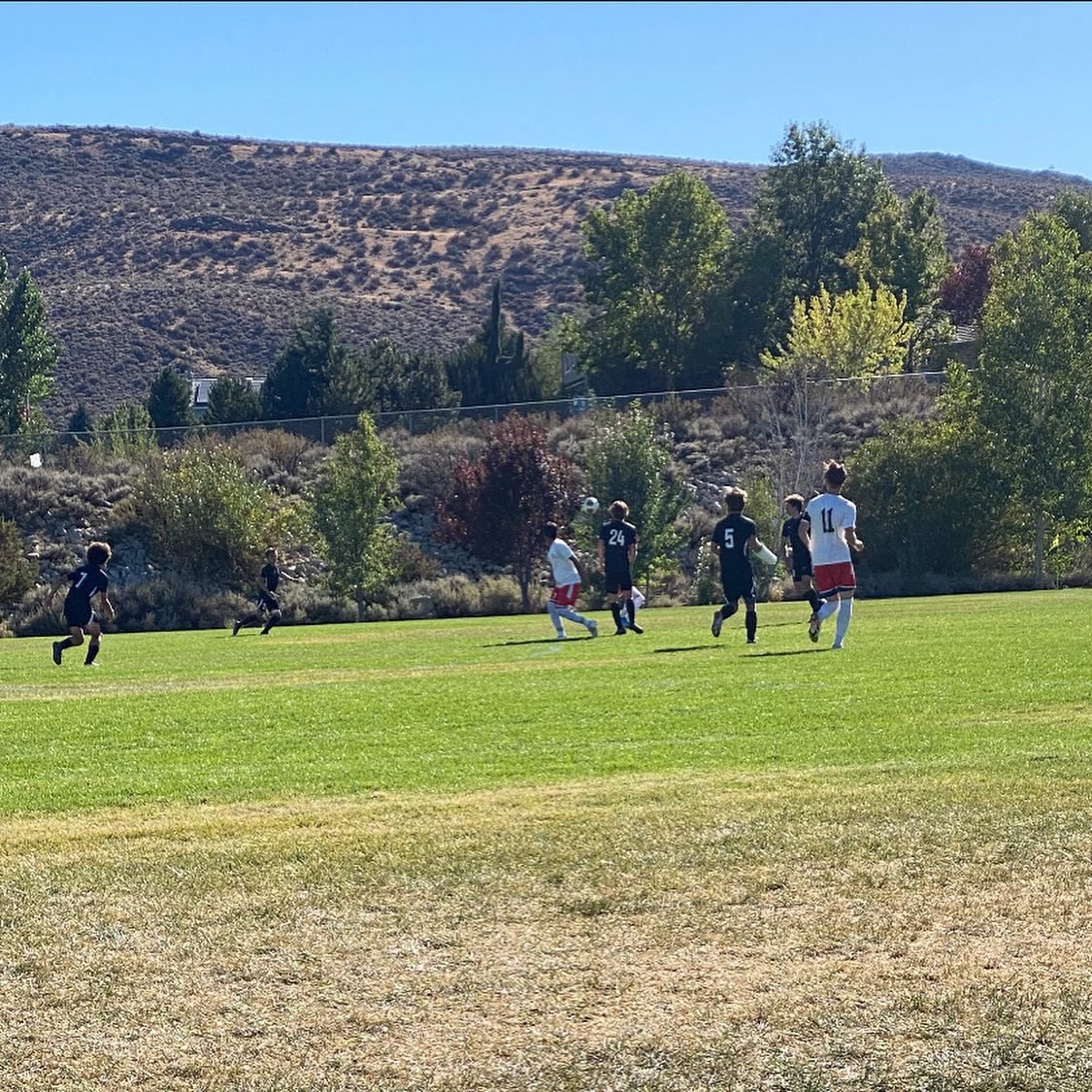 Wooster High School tweet media