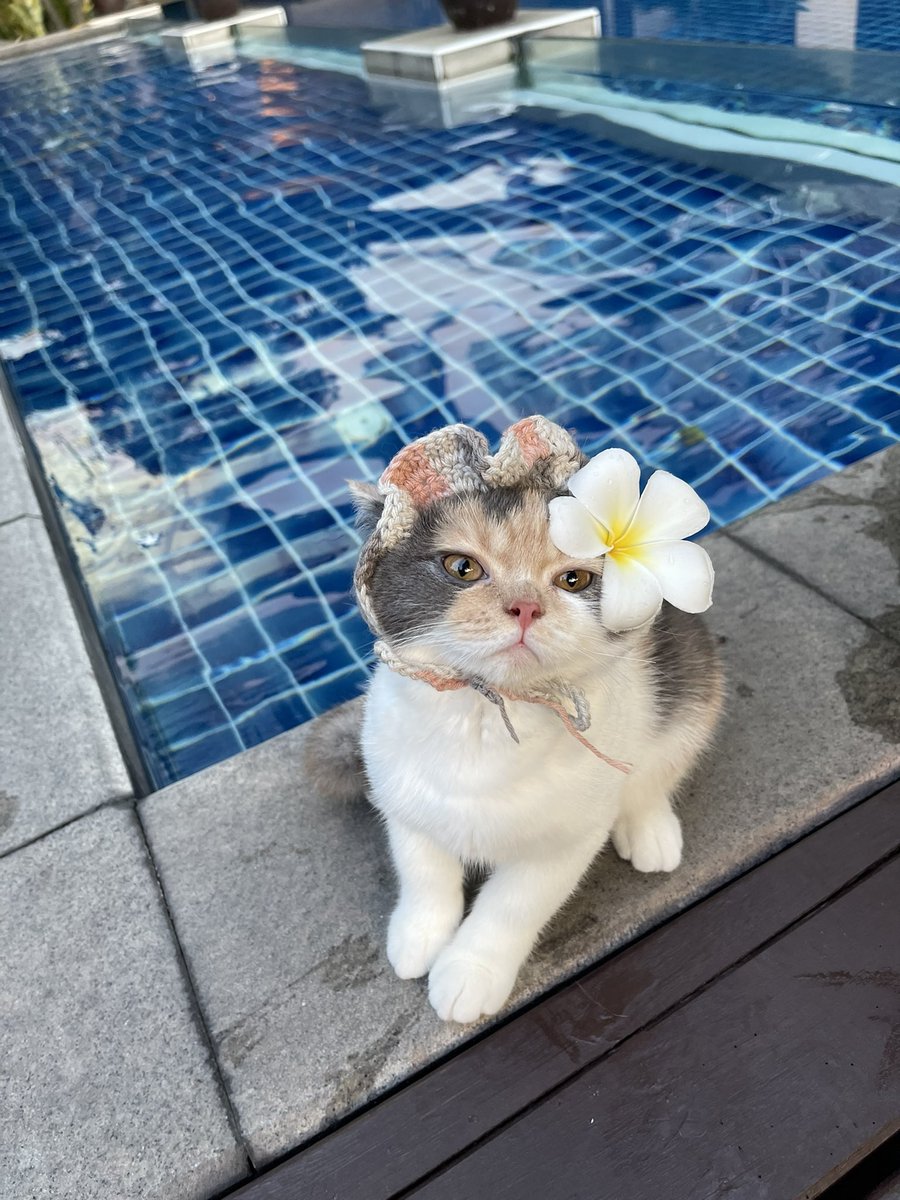 บางครั้งแค่น้อมมายใส่หมวกก็ไม่ยังเพียงพอสำหรับแม่