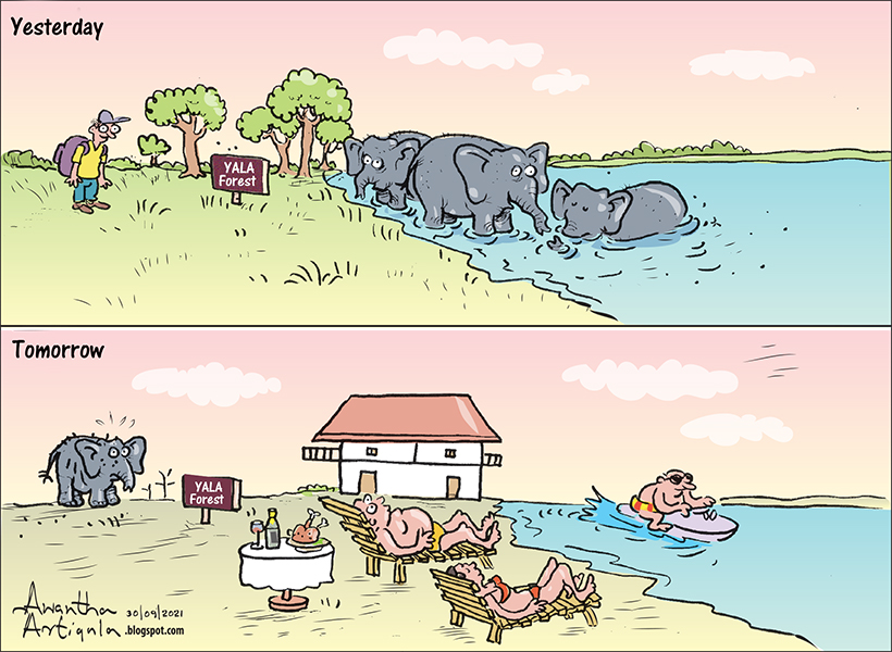 cartoonlka's tweet photo. Cartoon by @awanthaartigala
#lka #SriLanka #Yala #SaveYala #deforestation https://t.co/oUweCF5wrD