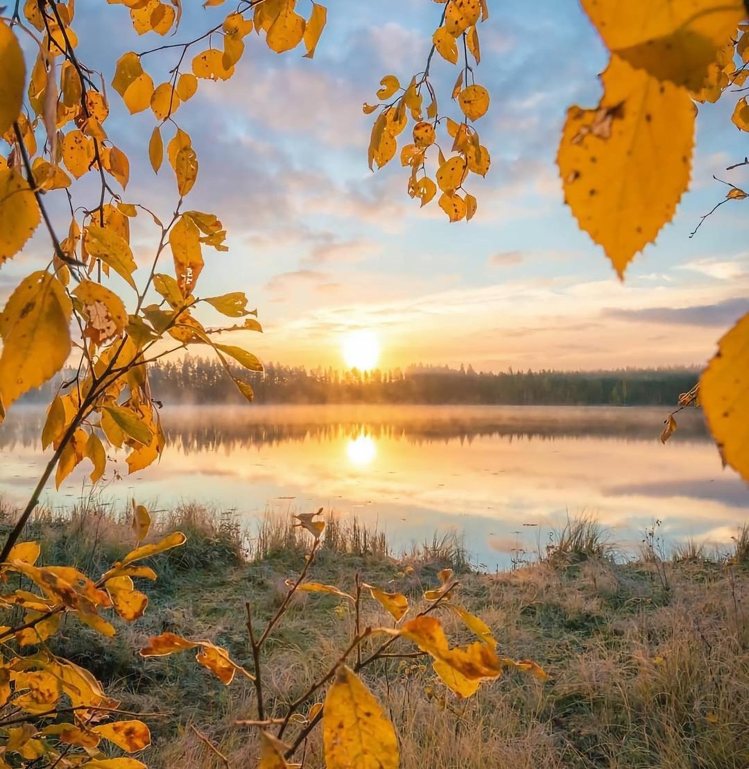 Сентябрь природа