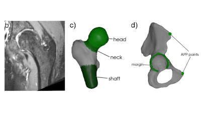 Radiology: Artificial Intelligence tweet media