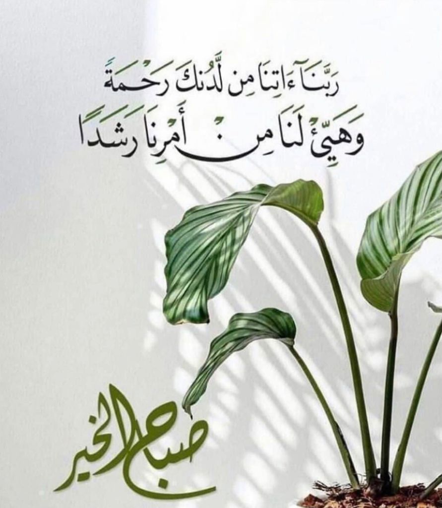 صورة من سعود العلي