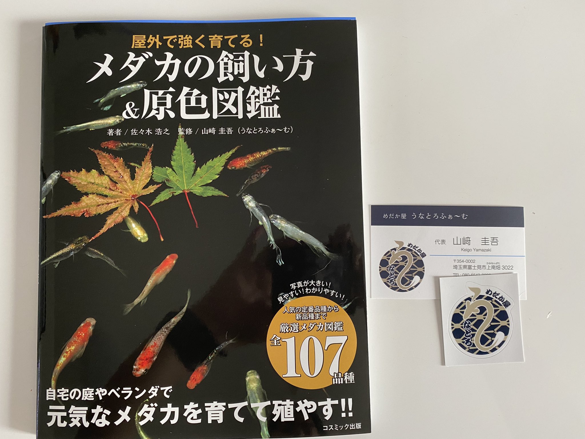 蛍の川 メダカの飼い方 Amp 原色図鑑の本が届きました うなさん監修の本です 水換え終わったら読むぞぉー ノ楽しみ メダカ 本 うなとろふぁ む T Co Bzt5vlmzf6 Twitter
