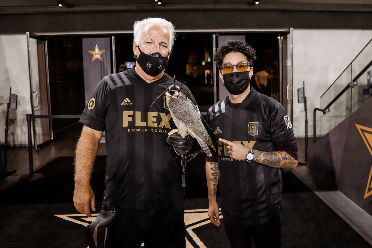 Thank you to our Honorary Falconer, <a href="/MauNieto/">Mau</a>.

Tonight’s Falcon Flight is presented by <a href="/UOPX/">University of Phoenix</a>.

#LAFCvPOR