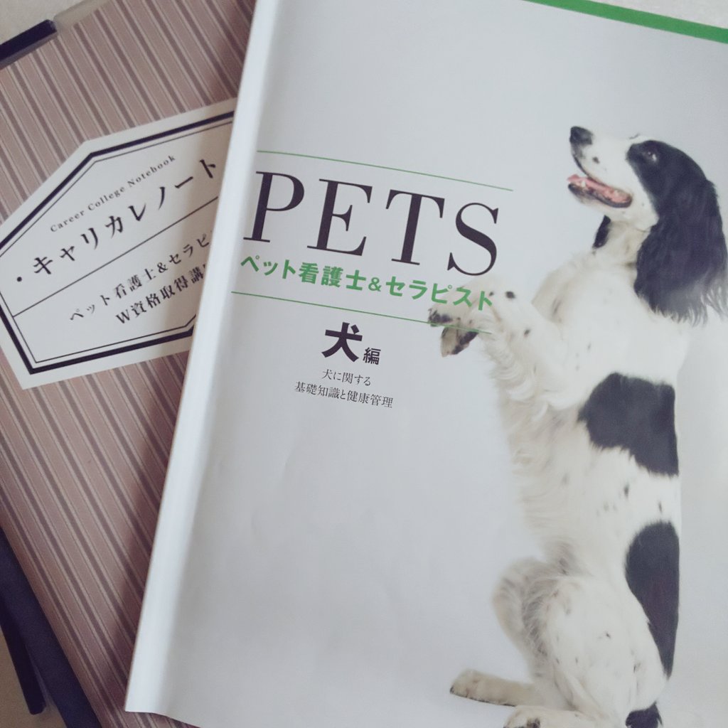 ペット看護師