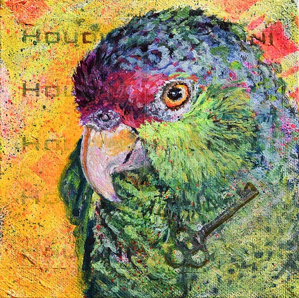 Nicole McCaigue tweet media