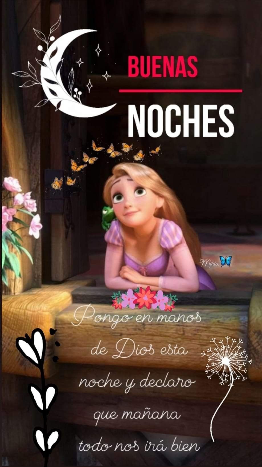 Guadalupe on Twitter: Guadalupe on Twitter: