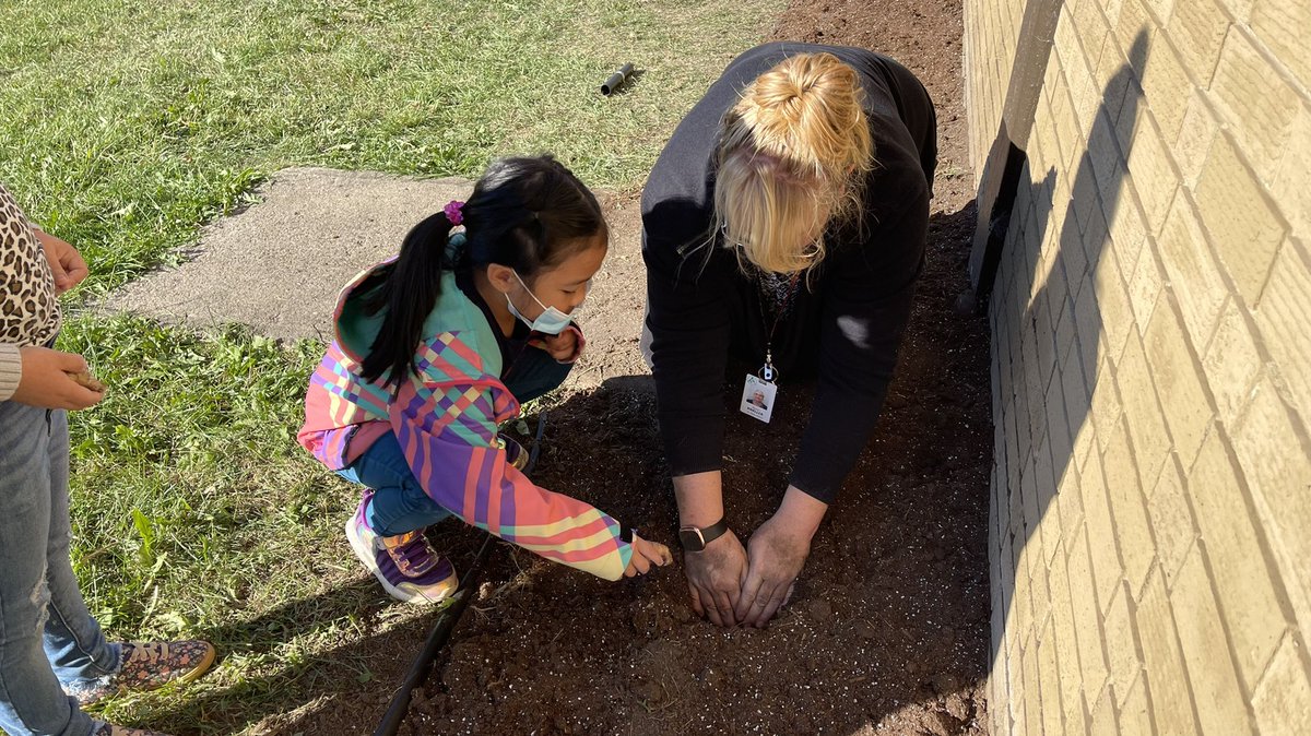 today we planted 215 seeds of HOPE. Sending love into each orange flower bulb, kindergarten students honoured and remembered 🧡