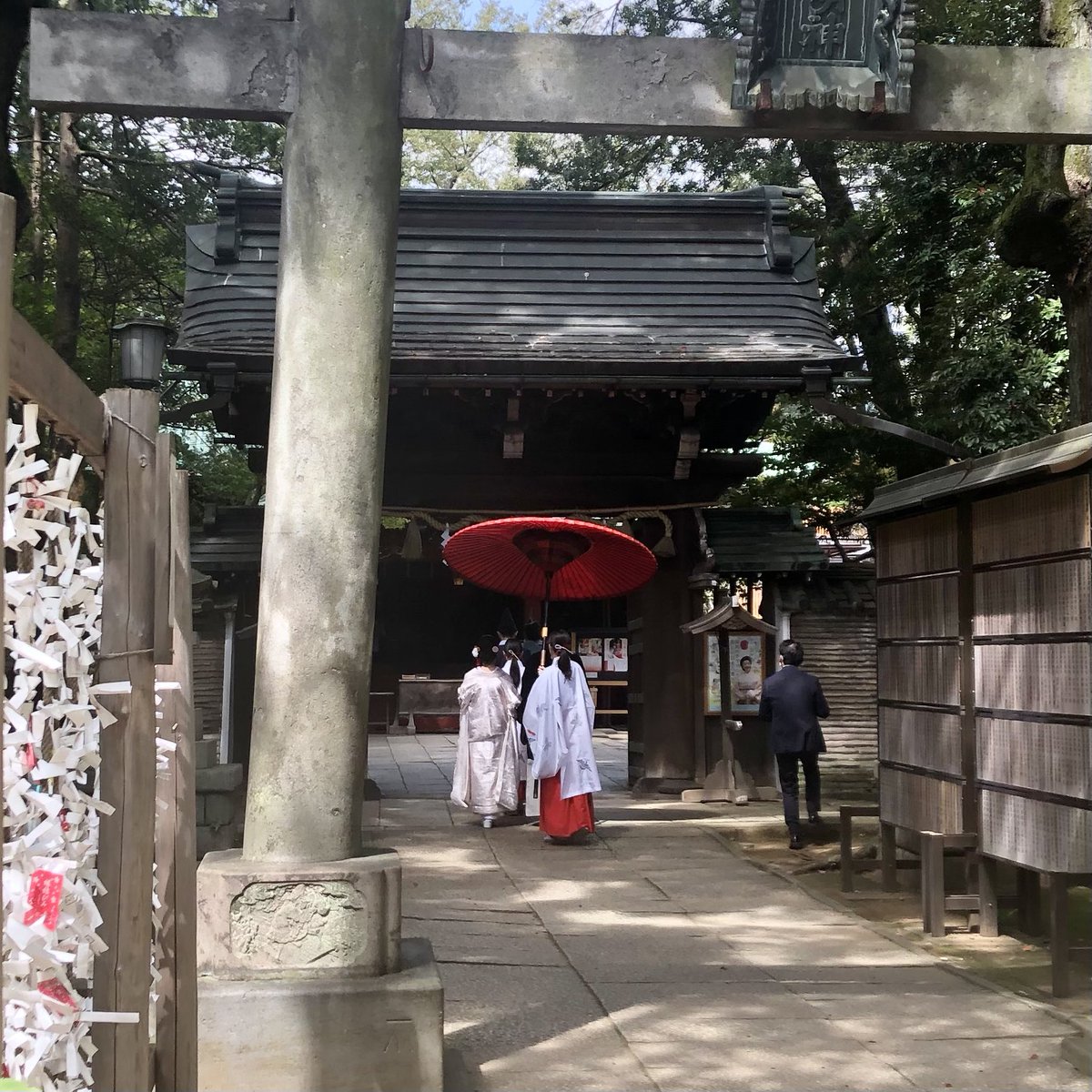 hatoyoke's tweet photo. お幸せに〜　
#氷川神社 https://t.co/NZKDTit2B1