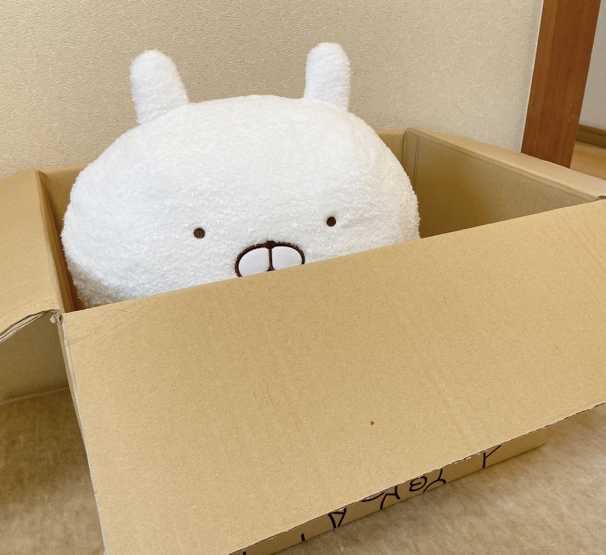 usamaru_ck's tweet photo. たっとんL 7th パーカースタイル( ¨̮ )
私は黄色のたっとんが届きました💛
とっても可愛い(◍ ´∞` ◍)♡
今日から新しい家族がまた増えました🌈
大切にします！！
⁡
#うさまる #うさまらー #うさまる7周年
#うさまると過ごすカラフルな毎日 https://t.co/c0dI7ii8QA