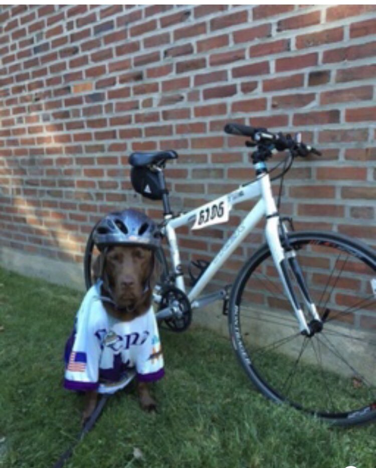 jeanfindlay's tweet photo. @JoJoFromJerz Philly https://t.co/PzZ4v5EoSx