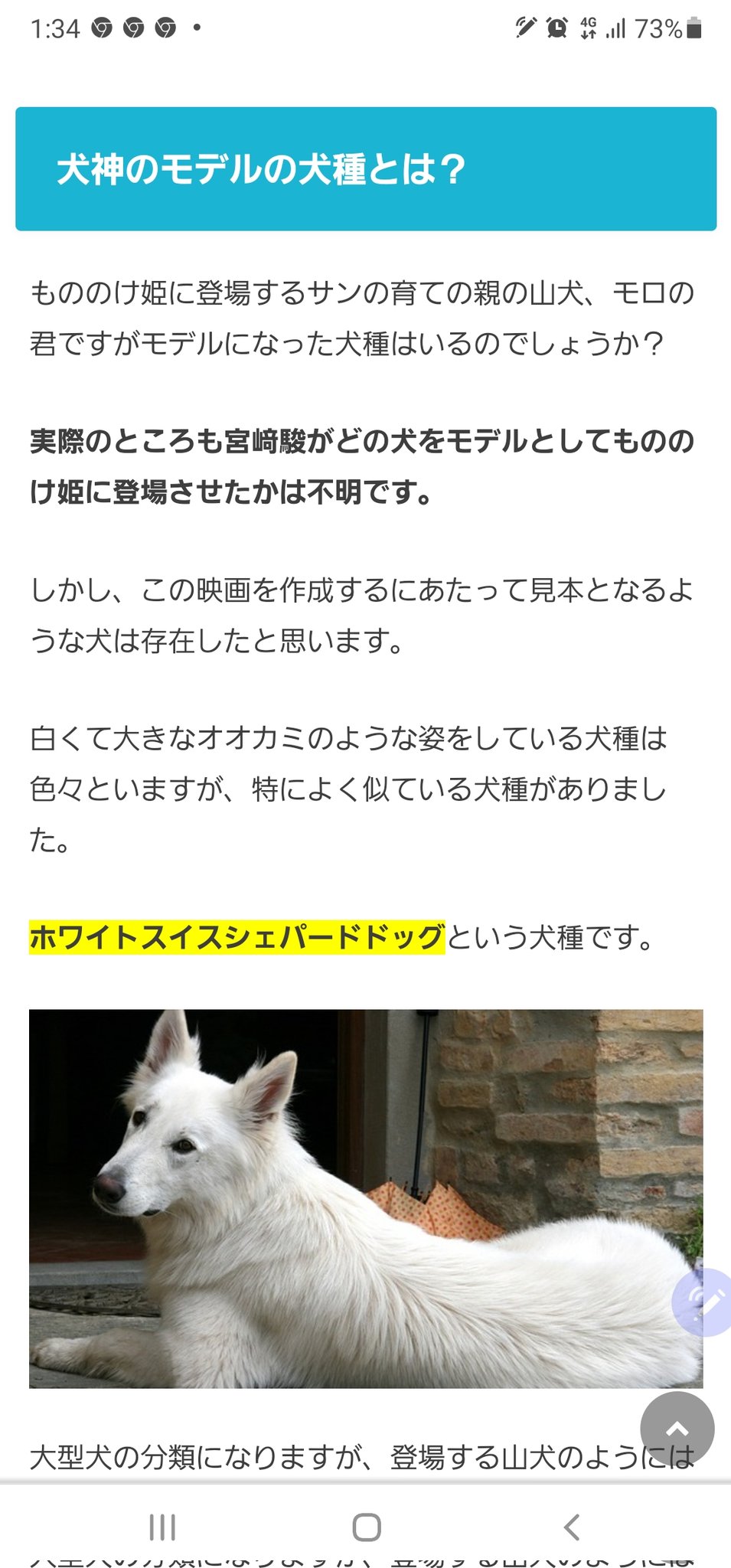 しろ 可愛すぎて好き そういえばもののけ姫のモロに近いわんこもこの犬種ではないかなともネットの記事でかかれてました こんなかわいい犬がモデルだなんて 子犬時代を想像するとときめきます そして白柴のおしり姿もかわいい 結論柴は