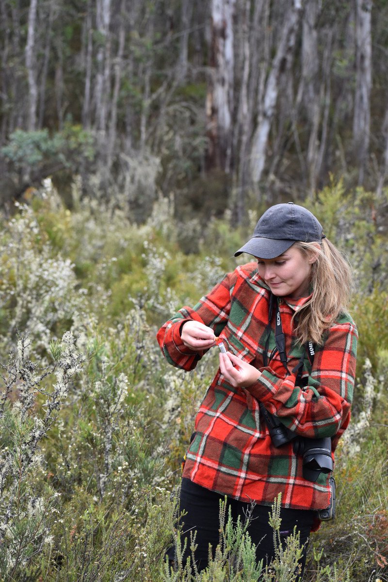 1/5 #SCBMelb21 
My PhD is investigating how 🦎🐸 respond to 🔥 and invasive predators. Victoria uses both lethal 🦊 baiting and prescribed 🔥 as tools to reduce threats and achieve ecological outcomes. Yet, these are largely planned and monitored as separate processes @DeakinCIE