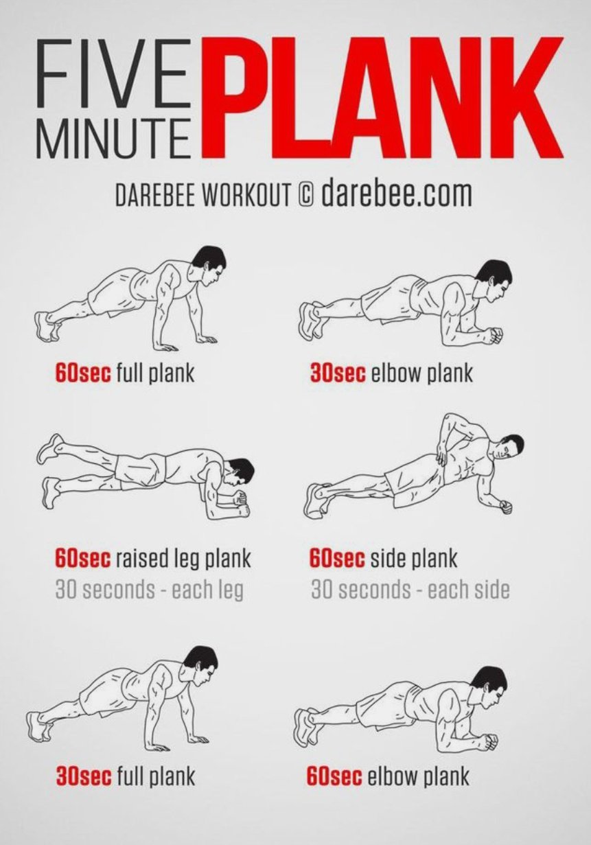 Charmant Ongewapend IJver Dr. Subhasree Ray on Twitter: "5-minute plank. In addition to the core,  this exercise helps in strengthening the muscles in your back, chest, arms,  thighs, and shoulders. Implement in phases. https://t.co/qURugpGAvT" /